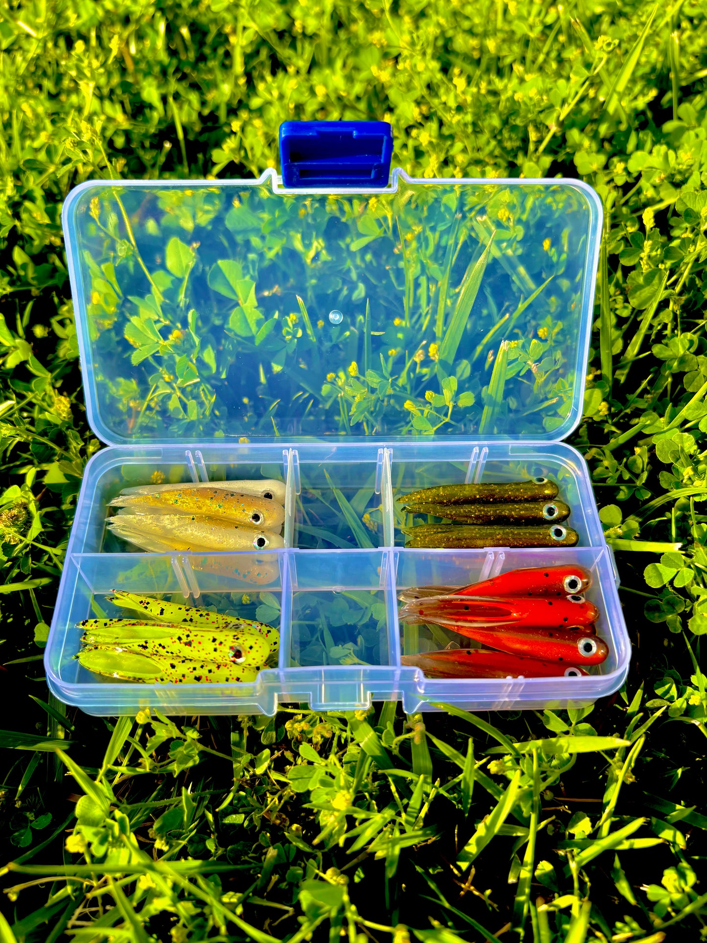 20pc 👁️ Sluggo Kit