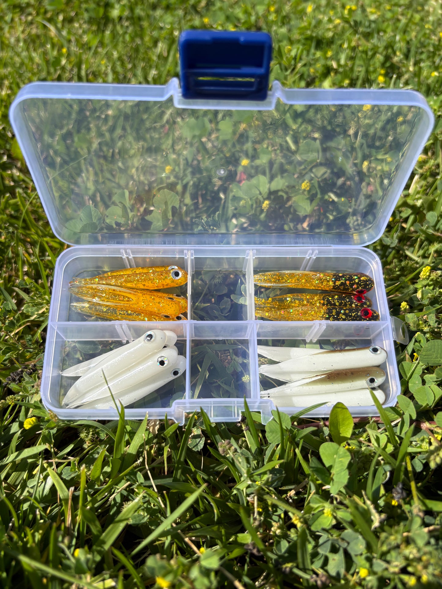 20pc 👁️ Sluggos Pocket Kits