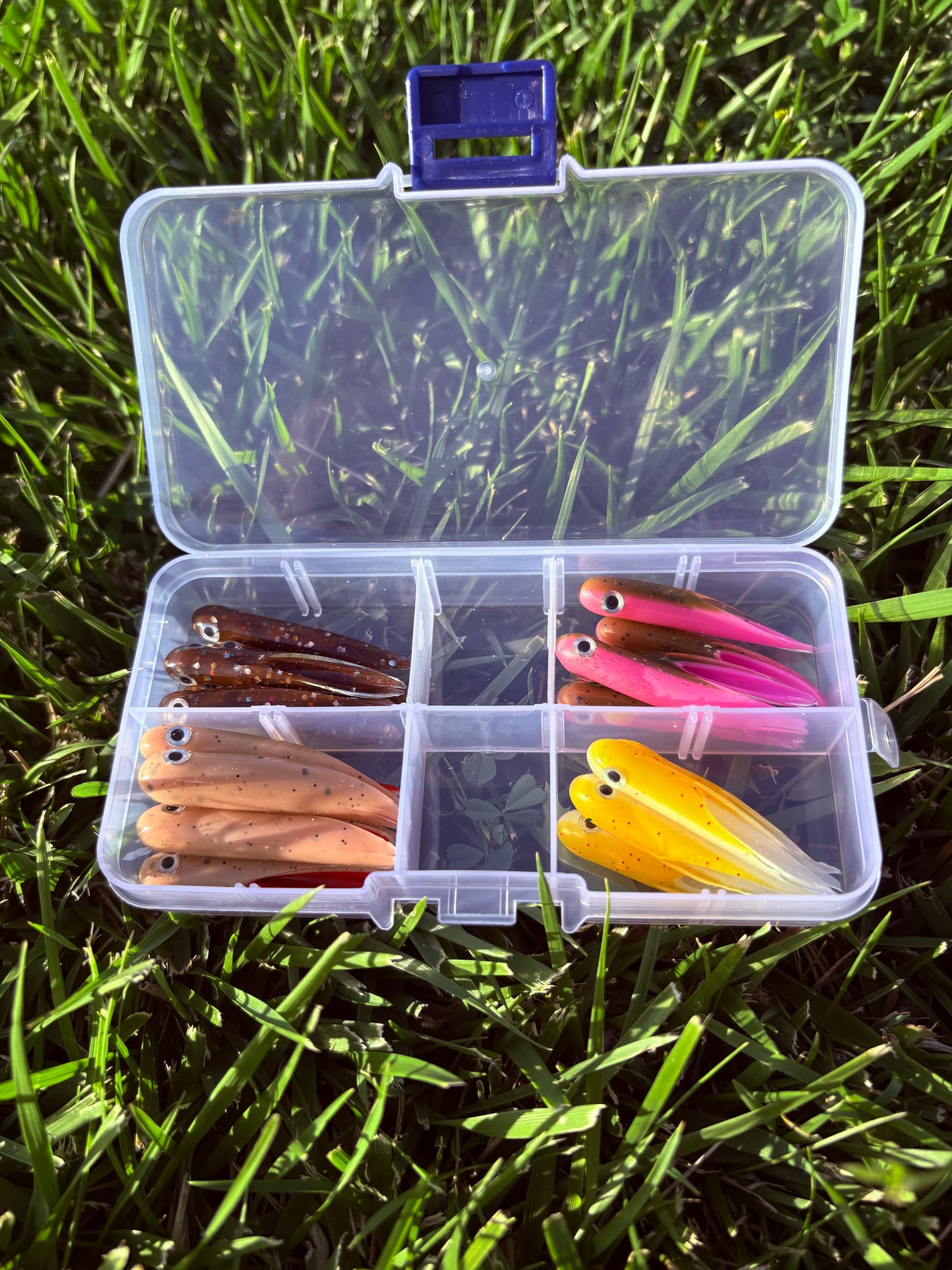 20pc “Match The Hatch” 👁️ Sluggos